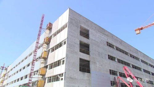 今年,海鹽這批投資瞄準百億