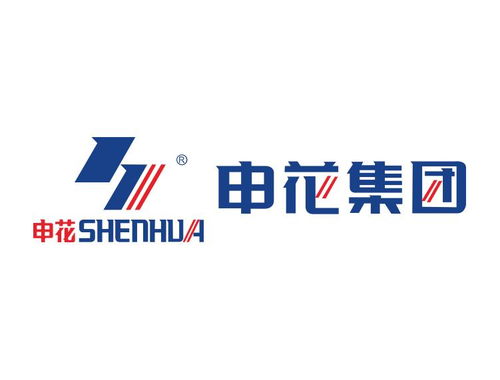 上海申花電器企業(yè)發(fā)展之路